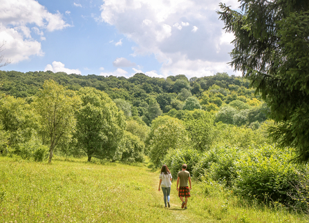 A couple walking through Warburg Nature Reserve. Picture: Ric Mellis