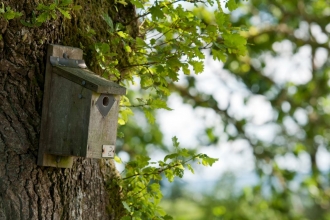 Bird nest box