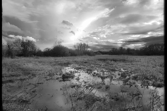 Cholsey Marsh in flood by Ed Munday