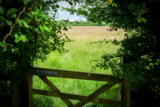 Ludgershall Meadows. Picture: Kate Titford