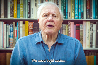 Sir David Attenborough speaking in The Wildlife Trusts film Let Nature Help, produced for COP26 in 2021.