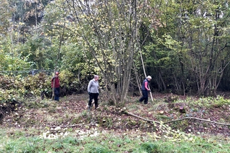 Volunteers creating a woodland scallop