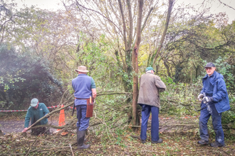 BBOWT volunteers creating a hedgerow using traditional hedgelaying techniques at the Nature Discovery Centre (NDC) in Thatcham. Picture: Pete Hughes