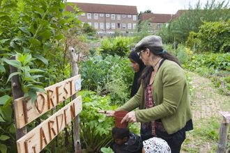 An urban forest garden created as part of a Wildlife Trusts community project. Picture: Paul Harris/ 2020Vision
