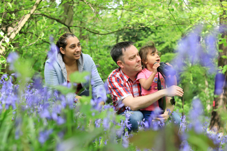 A mum, dad and daughter have a family day out in a bluebell woods. Picture: Tom Marshall
