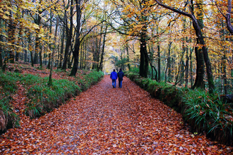 A couple go for a walk in an autumn woodland.