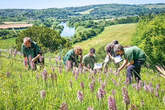Ecology team surveying Hartslock nature reserve
