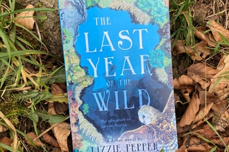 The last year of the wild book cover