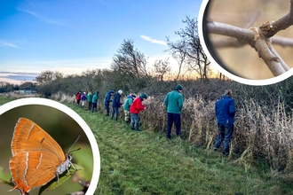 The BBOWT brown hairstreak butterfly egg count at Leaches Farm in January 2024