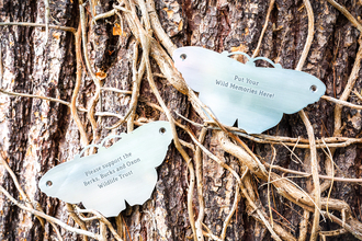 Two of BBOWT's Your Wild Memories butterfly plaques