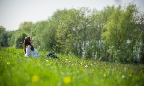 Picture of girl in field