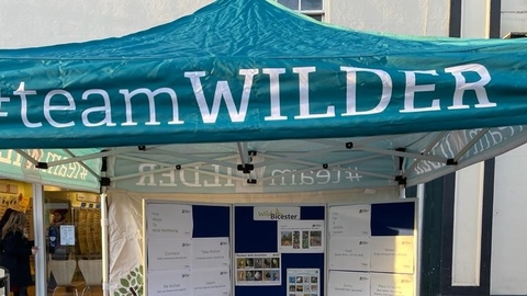 Photographic image of a BBOWT Team Wilder gazebo, with information boards on a table beneath.