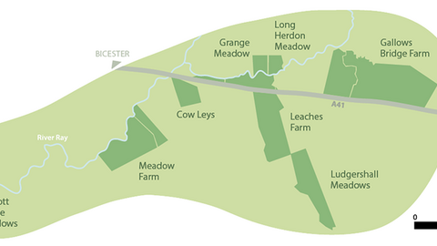 Map of BBOWT sites that make up the Upper Ray Meadows nature reserve in Buckinghamshire