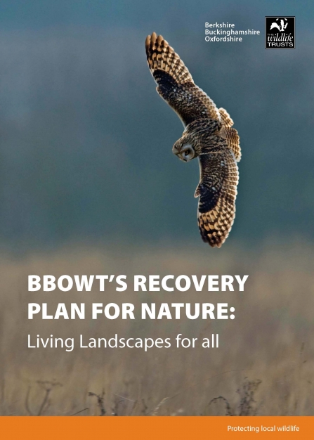 BBOWT's Recovery Plan for Nature