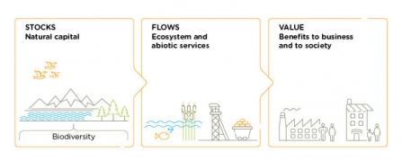 Diagram explaining natural capital and ecosystem services