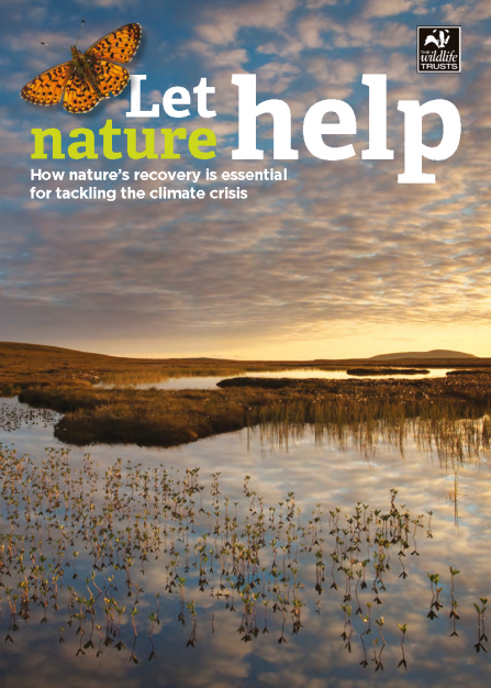 Cover of let nature help publication