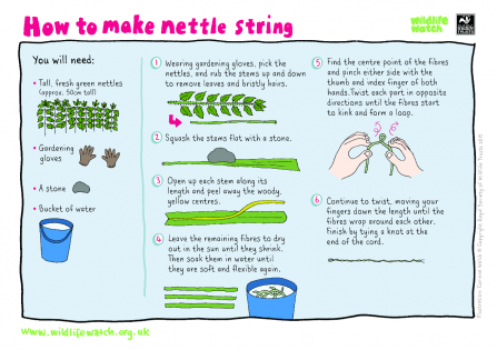 Nettle string activity sheet