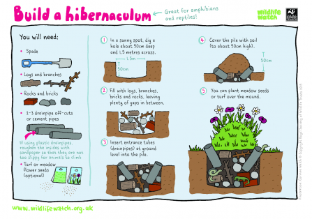 Hibernaculum activity sheet