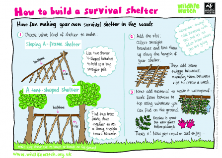 Survival shelter activity sheet