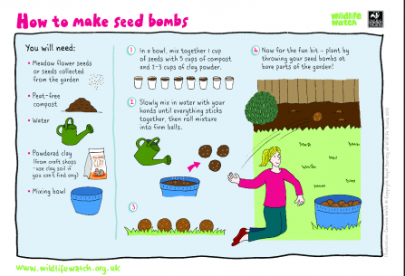 Seed bombs activity sheet