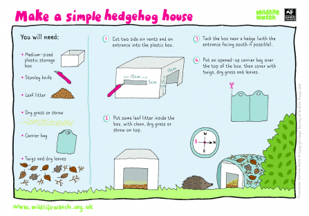 Hedgehog house activity sheet