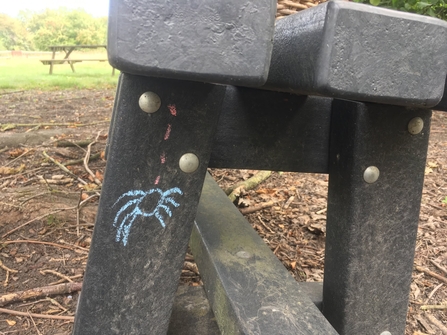 Chalk spider on bench