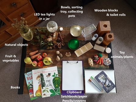 Items to use for autumn nature table
