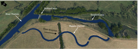 Sketch of the proposed bypass channel around Shifford Weir