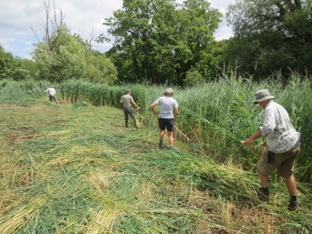 Volunteers scything at Chilswell Valley