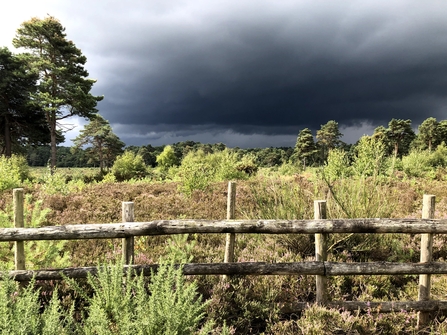 Wildmoor in storm by Roger Stace