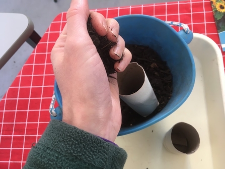 FIll your pot with compost