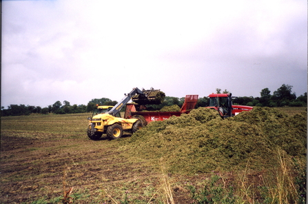 Green hay spreading at Chimney Meadows nature reserve.