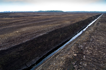 Commercial peat extraction in Lancashire. Picture: Matthew Roberts