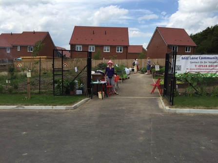 community garden with houses behind