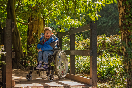 A young boy in a wheelchair enjoys the view from a wooden bridge in a green space. Picture: Adrian Clarke