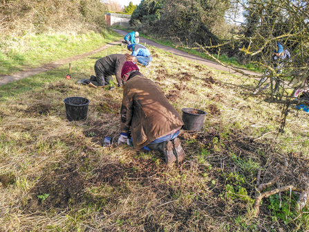 Members of the Hagbournes and Upton Group for Sustainability (HUGS) planting a 'mini meadow'. Picture: Caroline Hunt