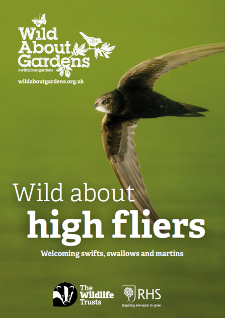 Cover of booklet about helping swifts, swallows and house martins