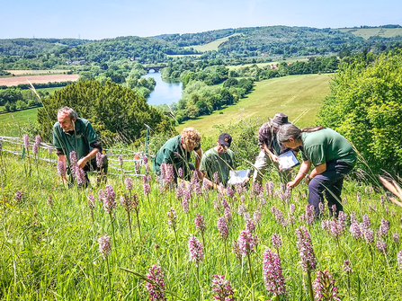 Some of the BBOWT Ecology team carrying out a survey at the Trust's Hartslock Nature Reserve, South Oxfordshire, in May 2022. Picture: Colin Williams