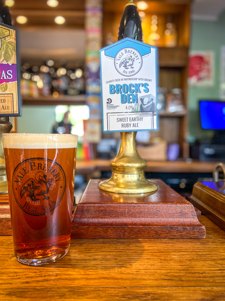 Vale Brewery's Brock's Den beer, launched in October 2022, with 10p from every pint sold being donated to BBOWT. Picture: Vale Brewery