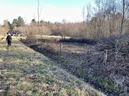 Cleared area of woodland