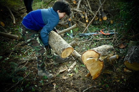 Boy moving a large log