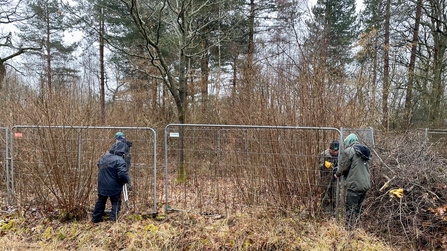 Volunteers install fencing at Finemere Wood