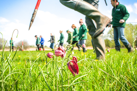 BBOWT staff and volunteers carrying out the annual snake's-head fritillary count at Iffley Meadows nature reserve in April 2023.