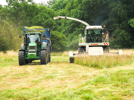 A green hay cut at BBOWT's Moor Copse reserve in Berkshire