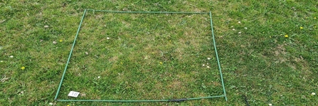 A transect quadrat on short vegetation for measuring the impact of grazing at Greenham Common