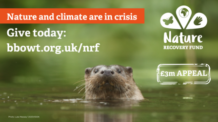 Nature Recovery Fund graphic