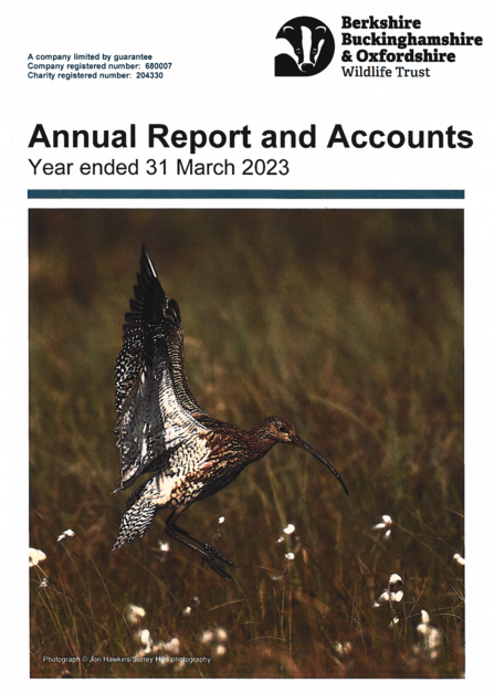 Cover page of the BBOWT Annual Report and Accounts featuring a curlew landing in a meadow