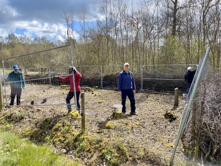 Volunteers assemble fencing around an area of coppiced ground