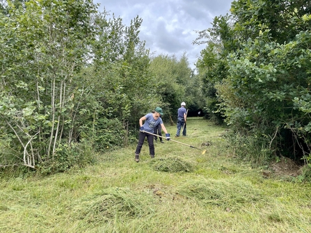 Volunteers raking a grassy track through woods