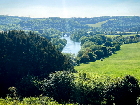 The view of the River Thames from BBOWT's Hartslock nature reserve in South Oxfordshire, photographed by Jon Mason, aka TheEarlyBirder